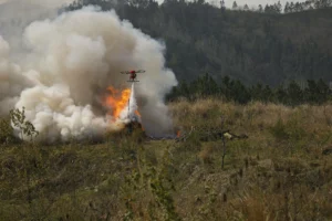 Drones participate in forest fire fighting